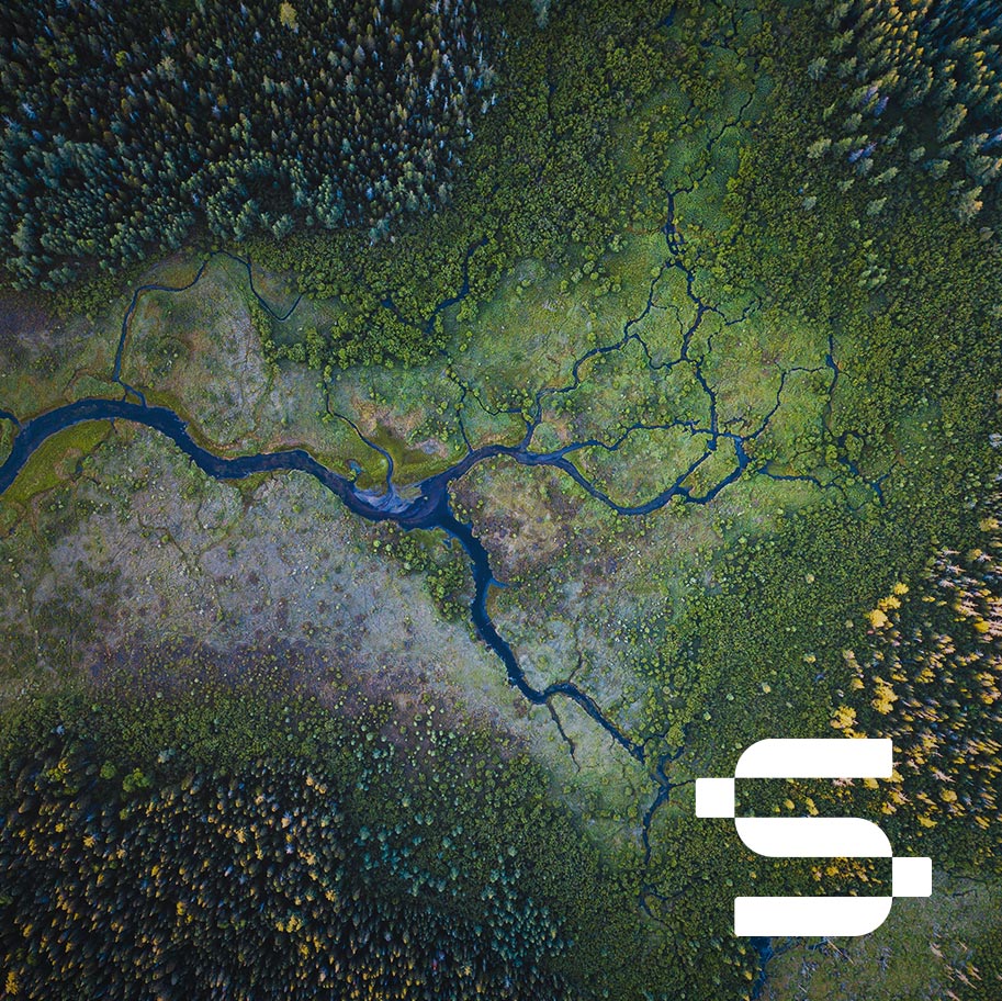 Res2DInv and Res3DInv